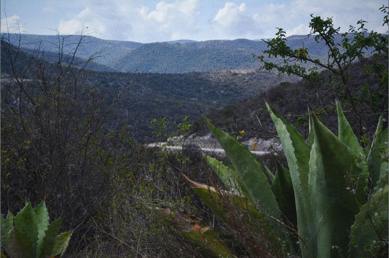 Paisaje de la Sierra Mixteca con magueyes en primer plano rumbo a la Reserva de la Biosfera Tehuacán Cuicatlán