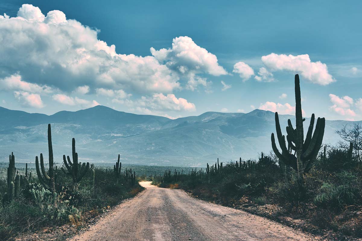 Paisaje de Tehuacán, hacia Los Reyes Metzontla