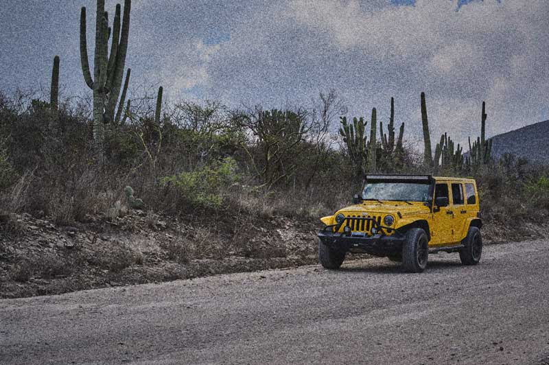 Ruta hacia la Reserva de la Biosfera Tehuacán Cuicatlán