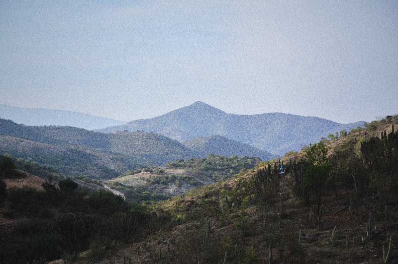 Paisaje montañoso de Tehuacán con cerros cubiertos de vegetación y cactáceas bajo cielo despejado